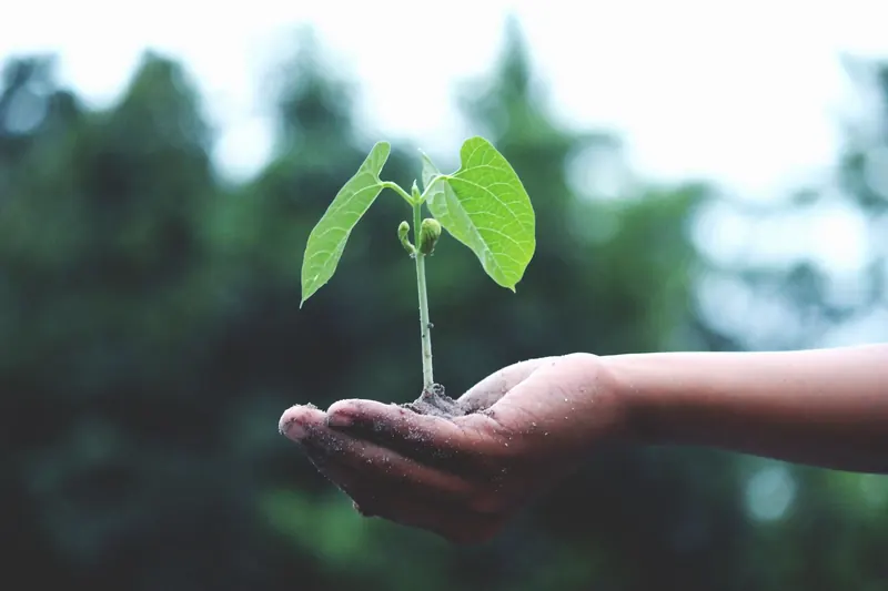 Circular economy bioprotein EU